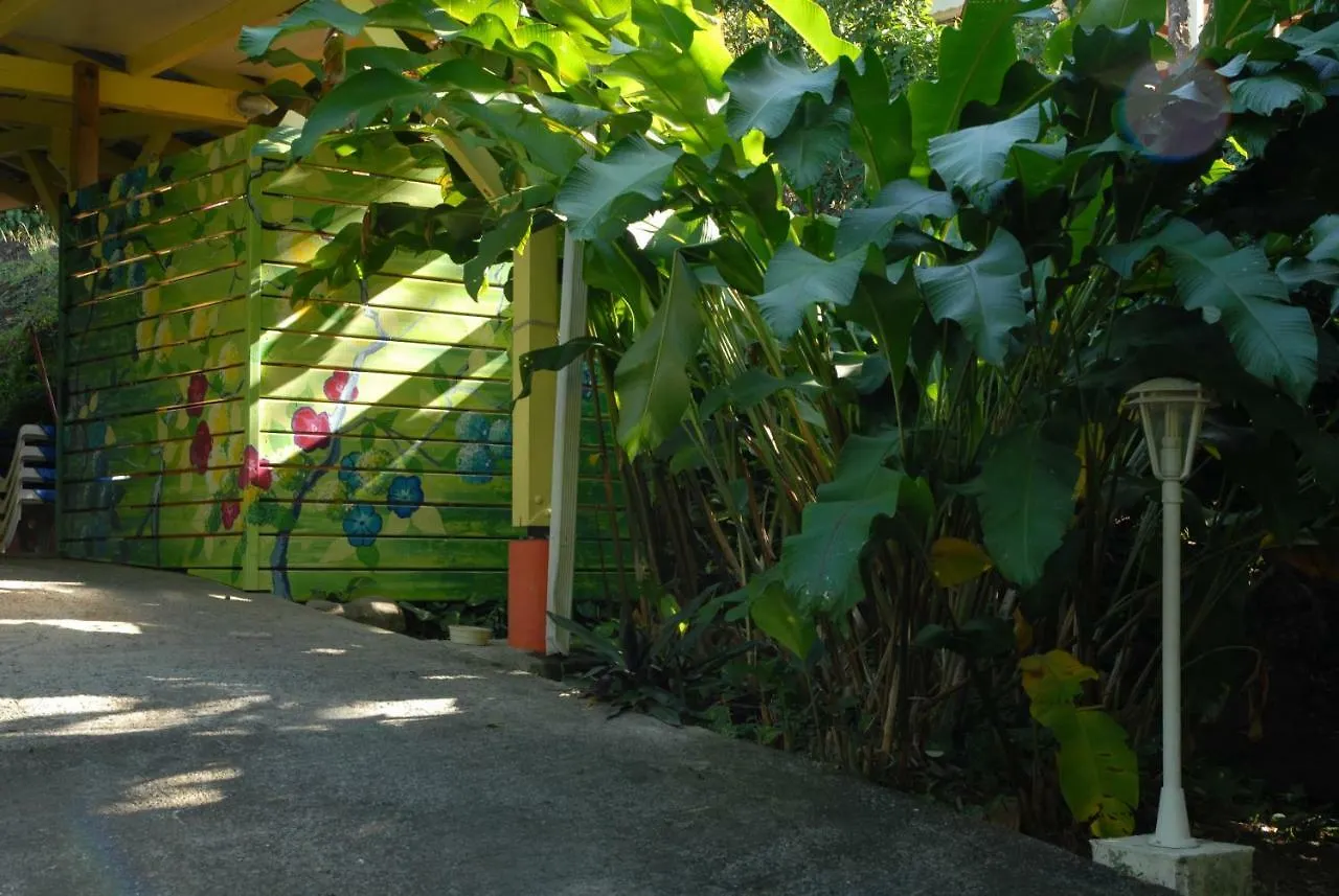 Green House Deshaies Villa